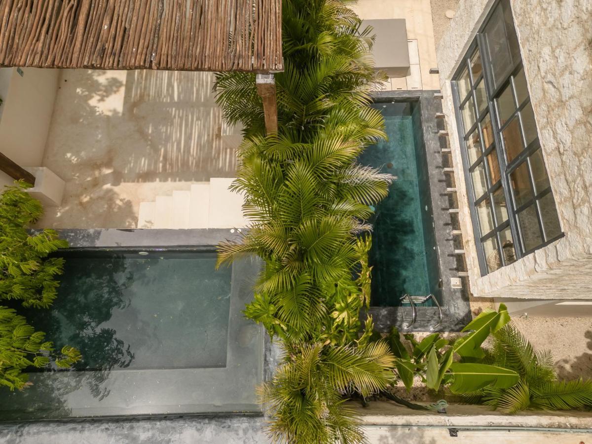 Willa New Aura Jungle Getaway Tulum Zewnętrze zdjęcie