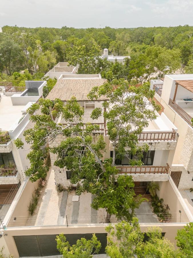Willa New Aura Jungle Getaway Tulum Zewnętrze zdjęcie
